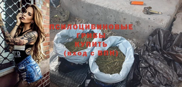 гидра Белокуриха
