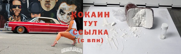 гидра Белокуриха