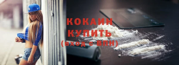 гидра Белокуриха