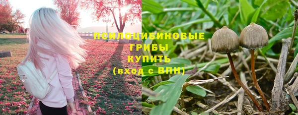 гидра Белокуриха