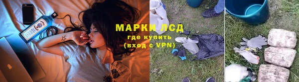 гидра Белокуриха