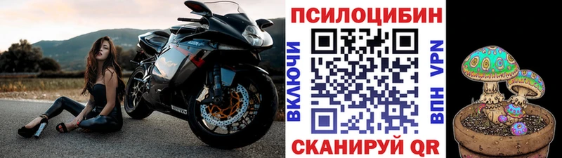 Псилоцибиновые грибы Cubensis купить наркоту Волхов